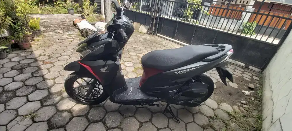 Vario 150 mulus