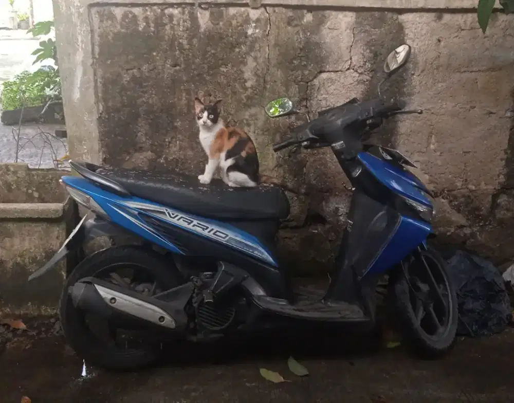 Vario 2009 Tangan pertama