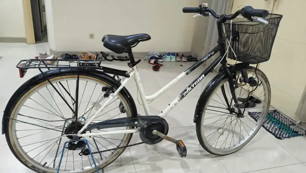Sepeda Lady Polygon Sierra uk 26 ORI Keranjang + Boncengan + Mud Guard