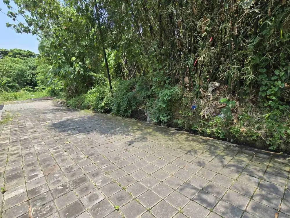 Di jual tanah bagus cocok untuk bangun villa, guest house dan hunian lain nya