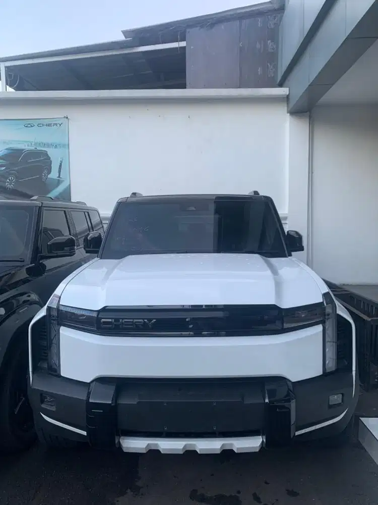 J6T IWD WHITE HOWLITE