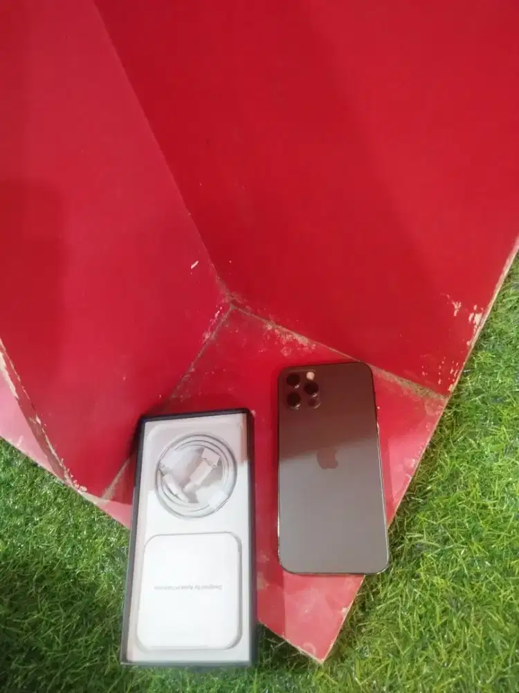 Iphone 11 pro 256gb maniak apple gan