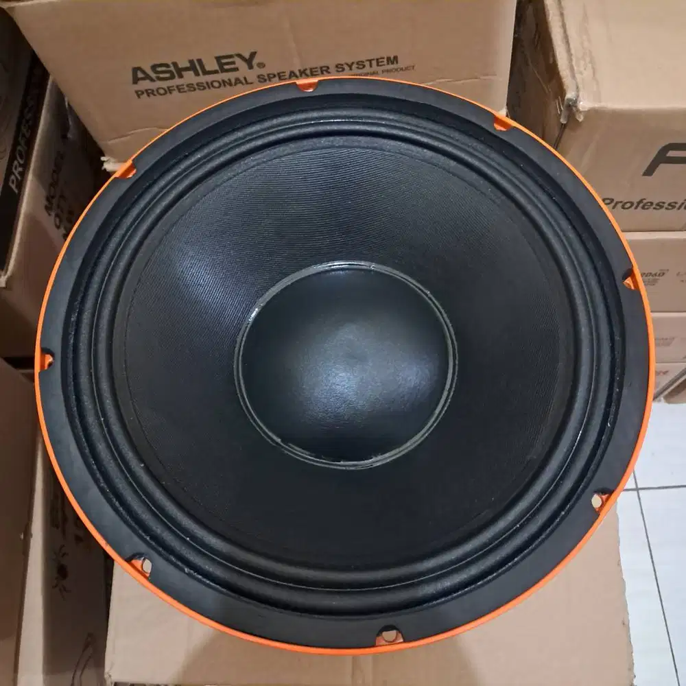 Speaker Ashley 12VC4 Original Suara Normal Pol (Minus Ring Retak)