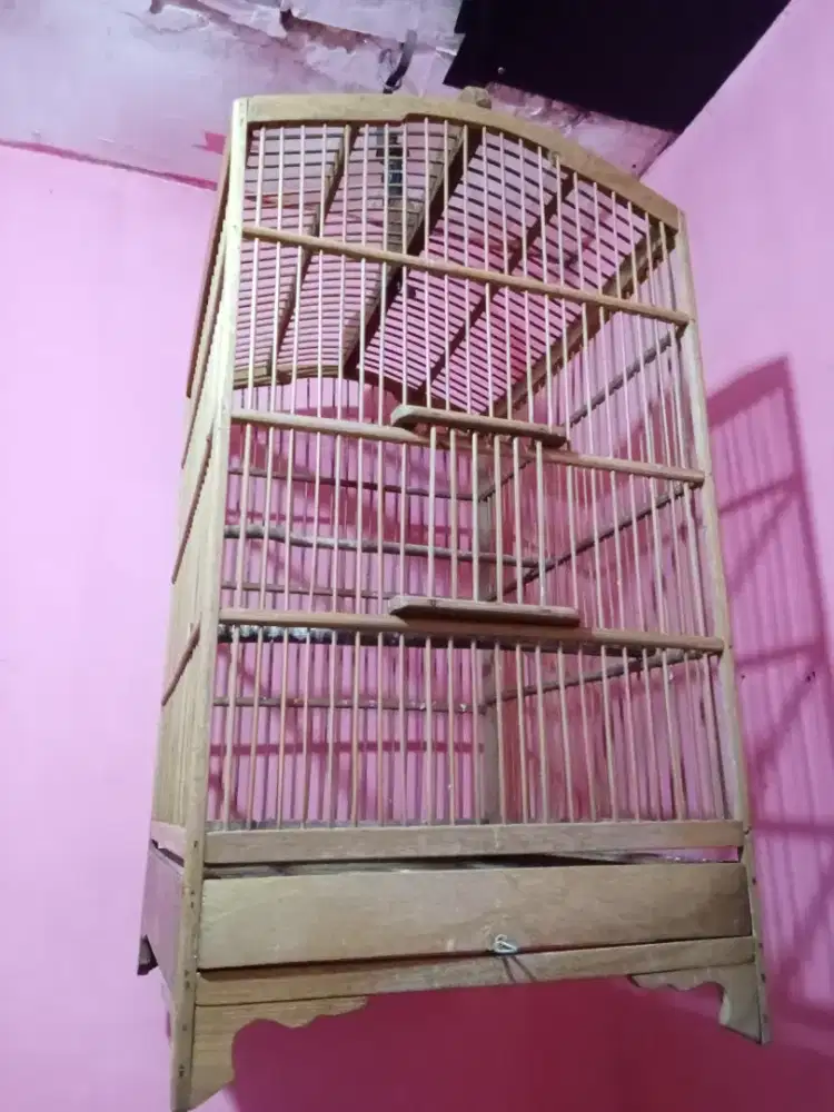 sangkar burung no2