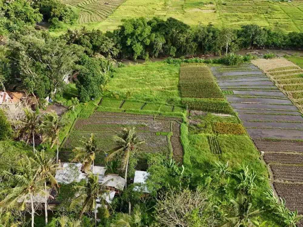 Dijual Tanah View Sawah Los Sungai Dekat Pantai Tabanan Bali