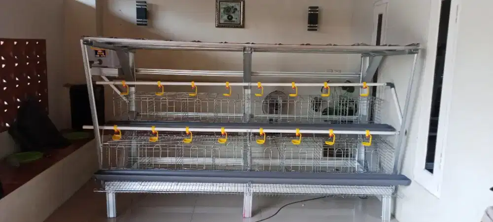 Kandang ayam petelur fullset isi 32 ekor