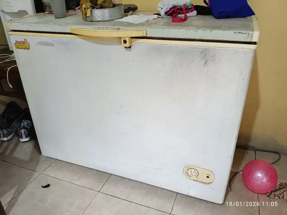 Lemari Pembeku - F 300