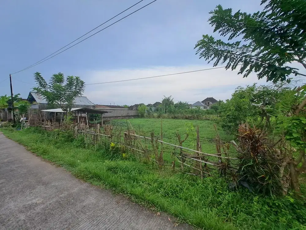 TANAH PREMIUM KOTA NEGARA - JEMBRANA