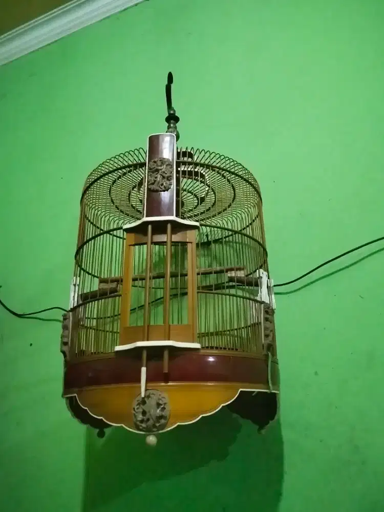 Kandang Anis istimewa  rapih Jepara