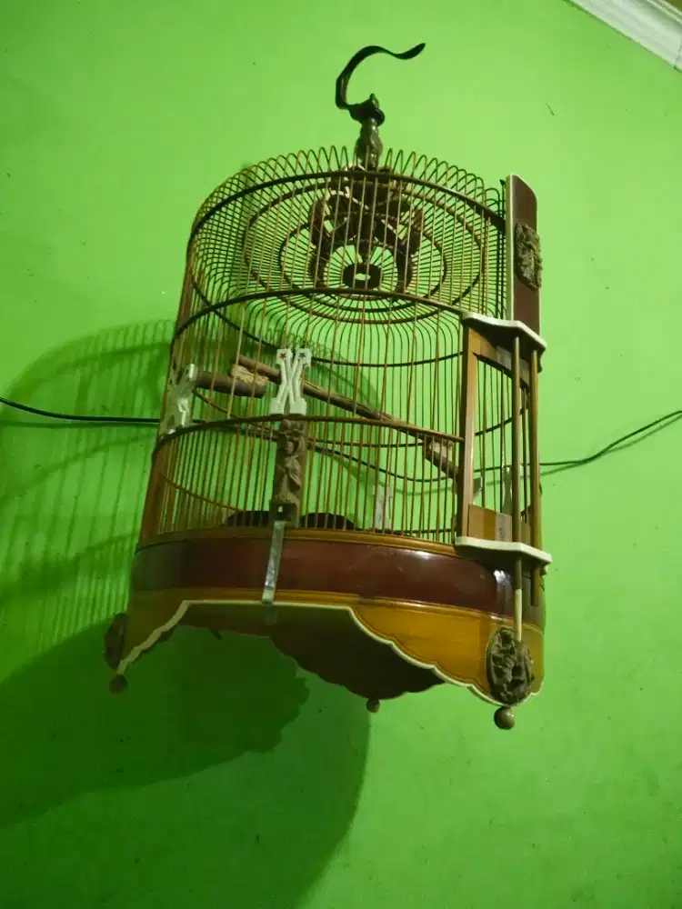 Kandang Anis istimewa  rapih Jepara