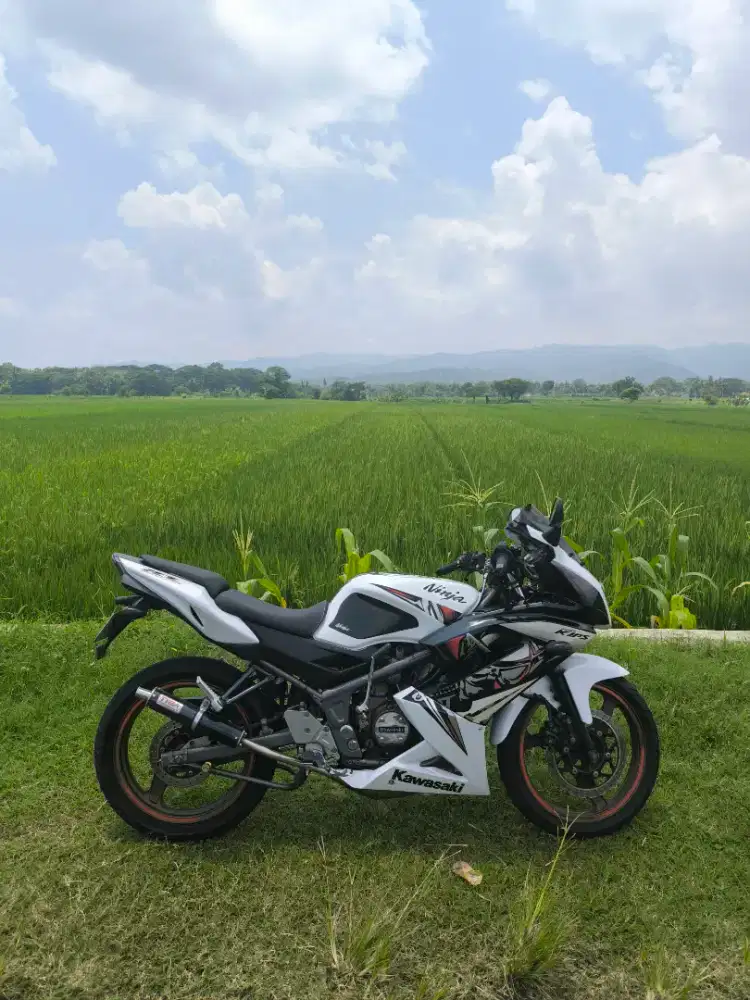 Kawasaki Ninja RR new 2013 SE