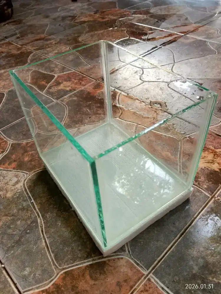 Aquarium kaca murah