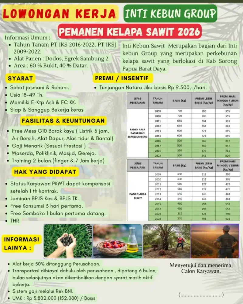 LOKER PERKEBUNAN KELAPA SAWIT KALIMANTAN BIAYA GRATIS DI TANGGUNG