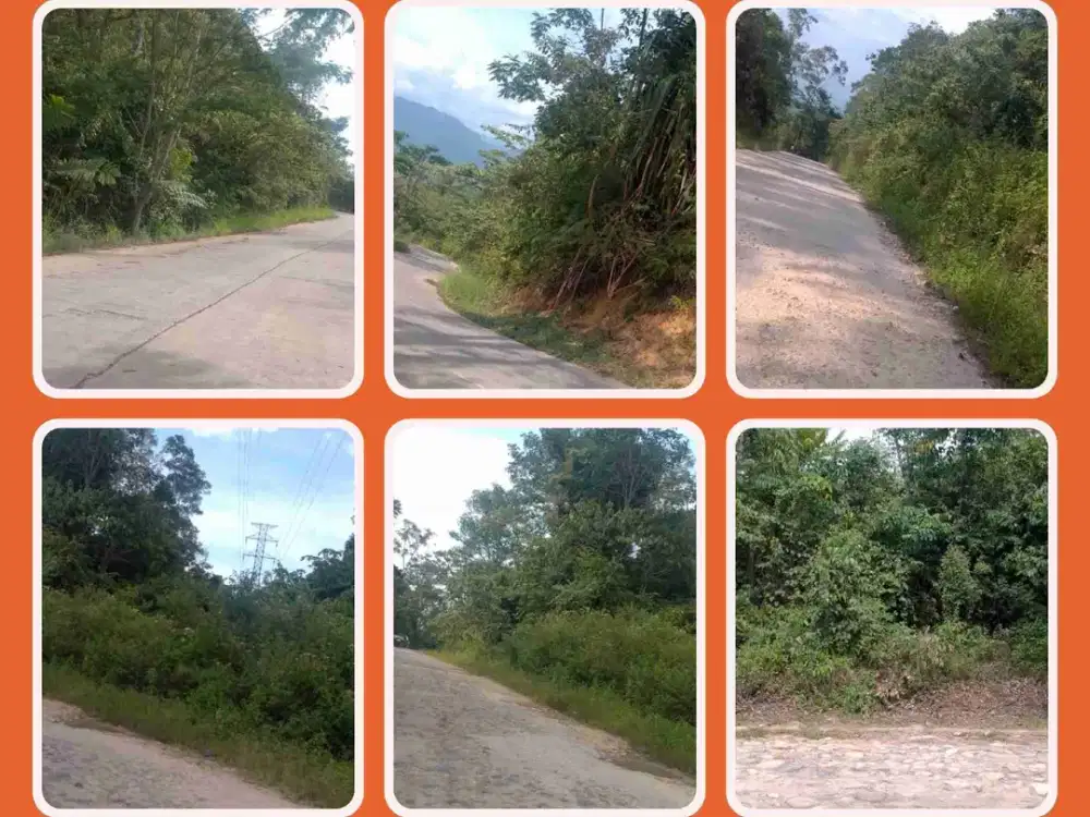 Tanah Pinggir Jalan Besar 2,3 Ha di Lembah sorik marapi - Mandailing Natal.