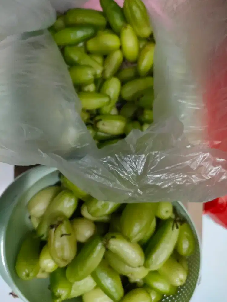 Belimbing Wuluh segar