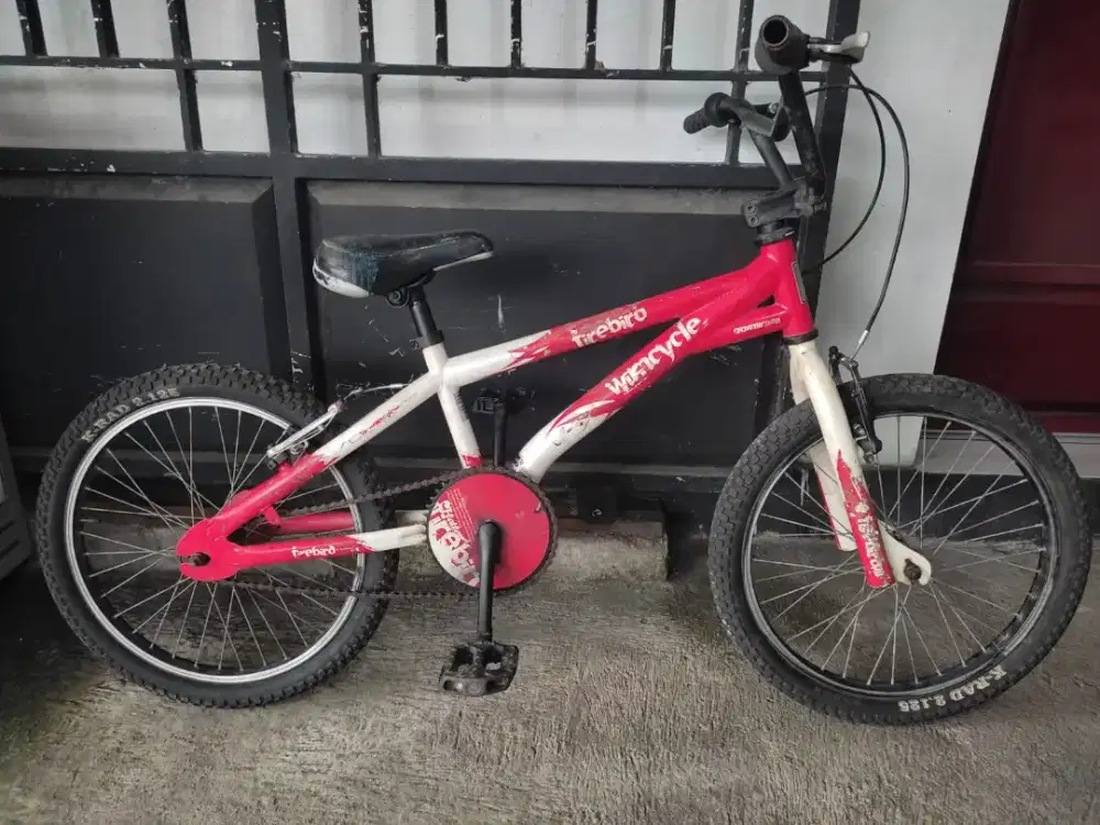 Jual sepeda bekas anak
