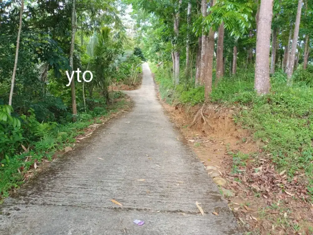 Jual tanah lokasi karangpandan luas 9000mtr SHM harga 750jt nego