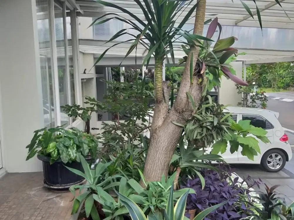 Rumah Bagus Siap Huni Lokasi Kebayoran Bintaro - 0321