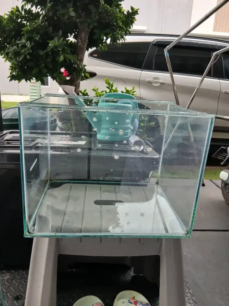 Aquarium Kaca dapat 2