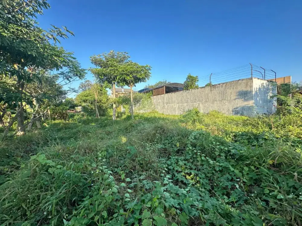 Tanah Pribadi Dijual