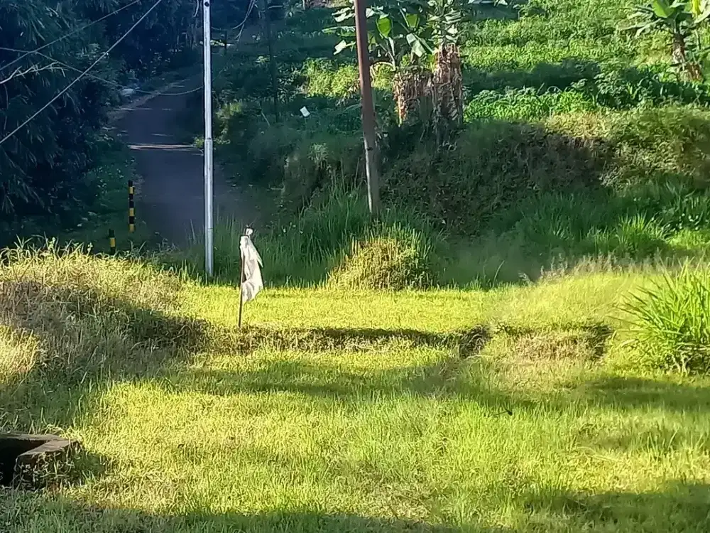 JUAL TANAH KAWASAN VILLA PACET PUNCAK TERTINGGI