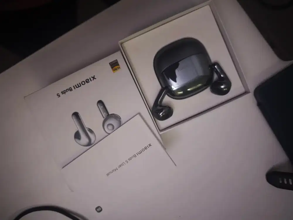 Xiaomi Buds 5 (grey)