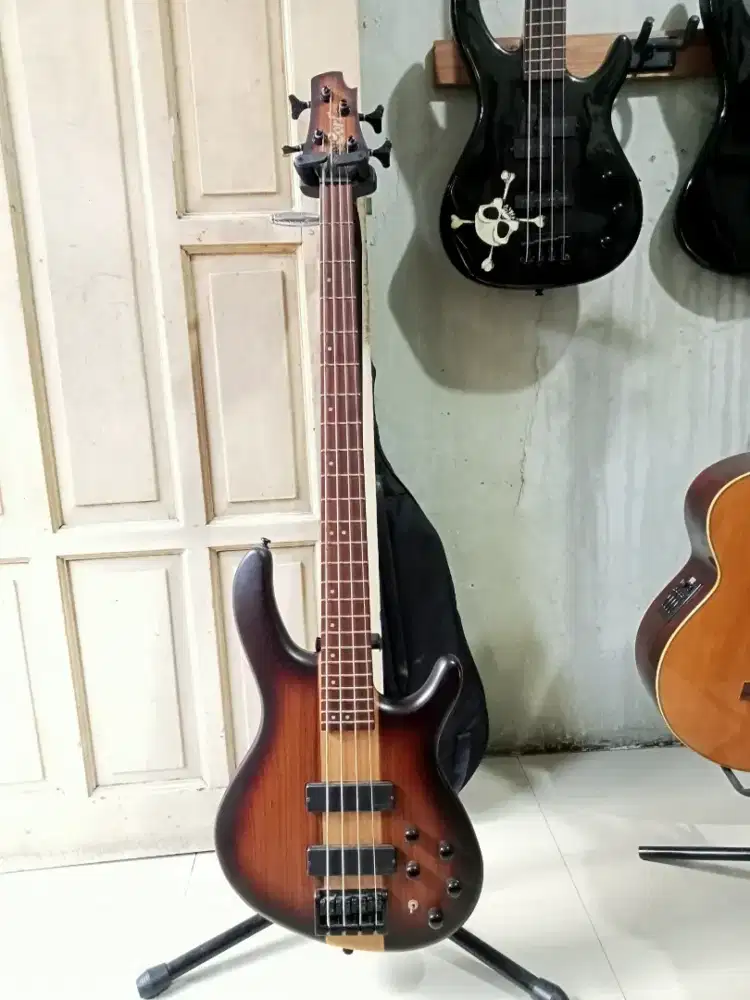 CORT C4 plus ZBMH original