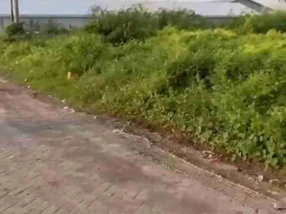 4jt-an/mtr‼️Tanah di pergudangan bumi maspion Romokalisari gresik Row Jalan Lebar Puooll