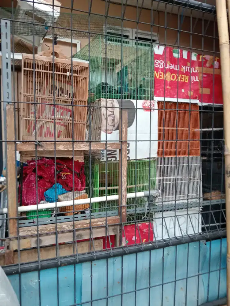 Kandang burung kotak besi