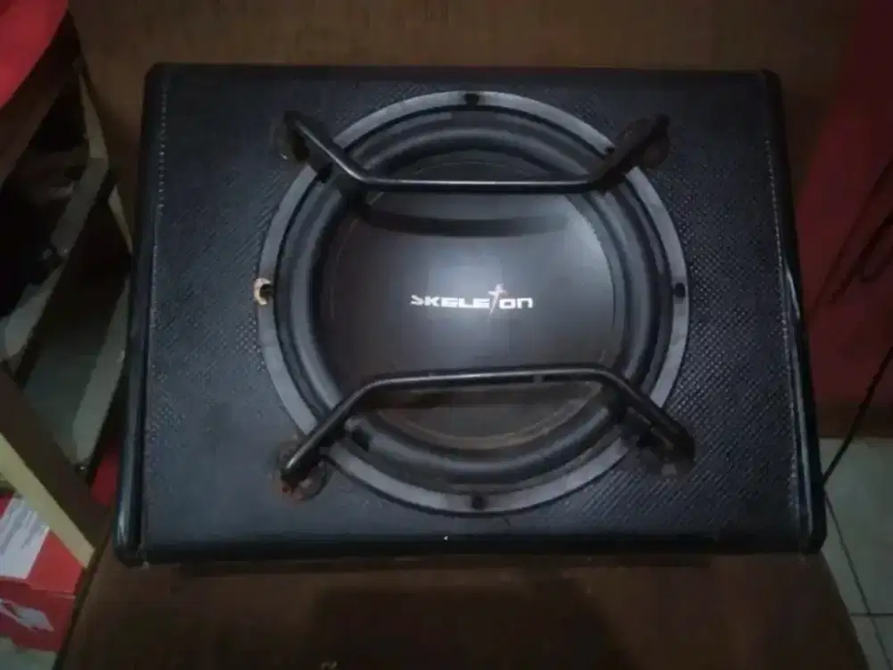 Spiker Subwoofer aktif 10 SKELETON