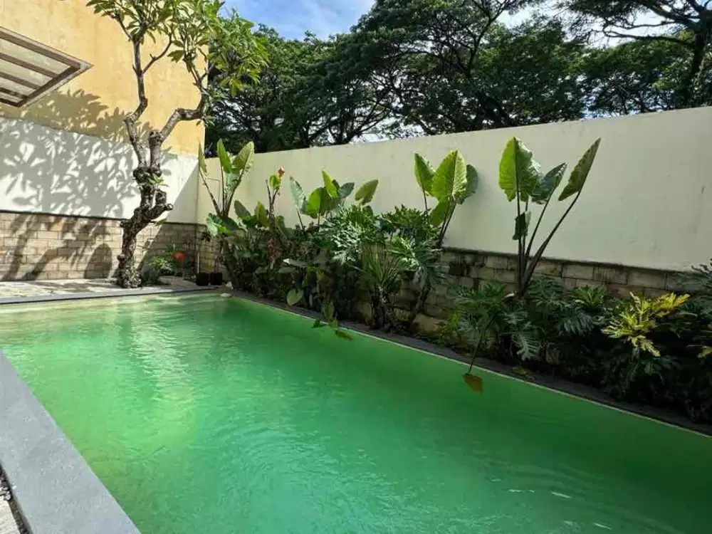 Dijual Sutera Lavender Alam Sutera