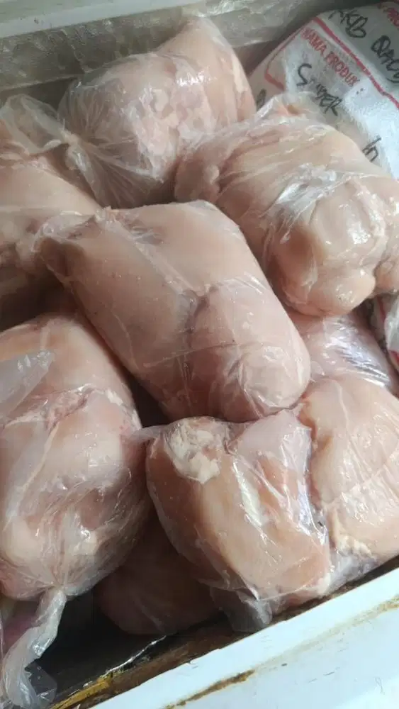 Staff WANITA dapur GESIT rangkap ART sayang dogi dan kucing