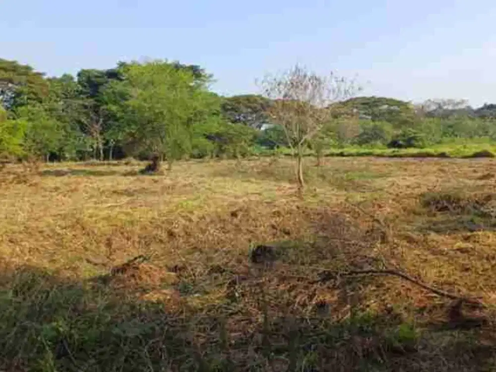 Di JUAL TANAH KAVLING STRATEGIS DI JABABEKA RESIDENCE