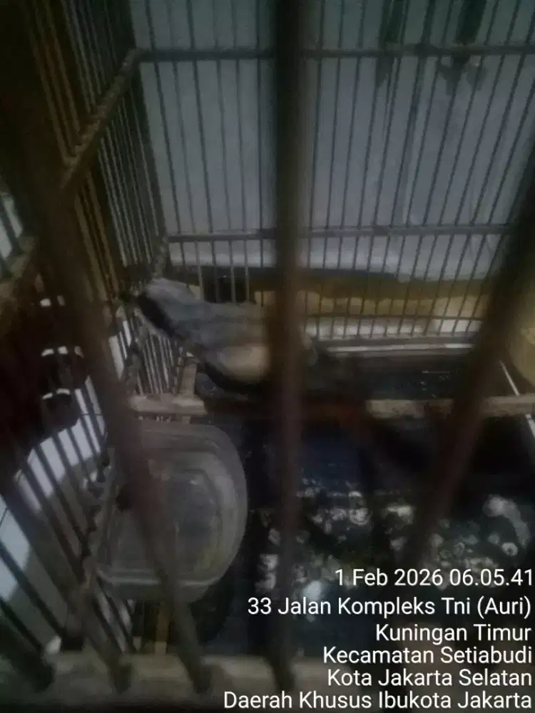 JUAL SANTAI SAMBIL NGOPI