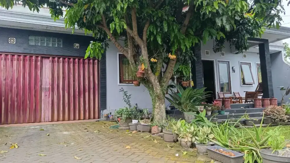 Rumah Di Jual Halaman Depan Belakang masih luas