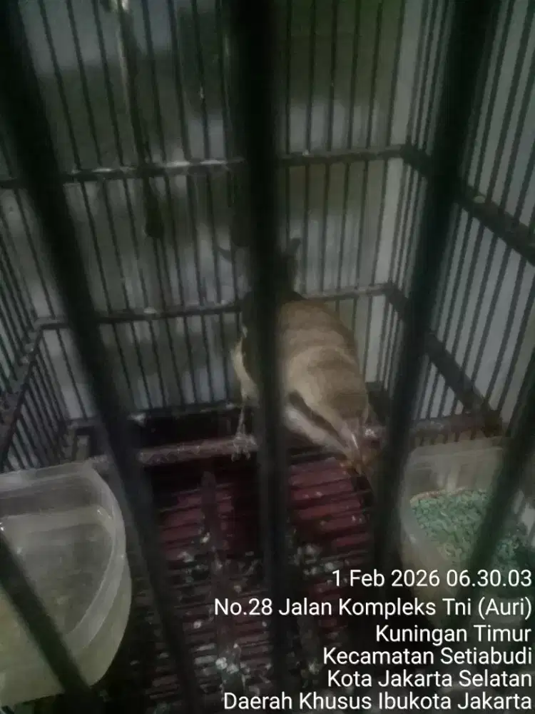 JUAL SANTAI SAMBIL NGOPI