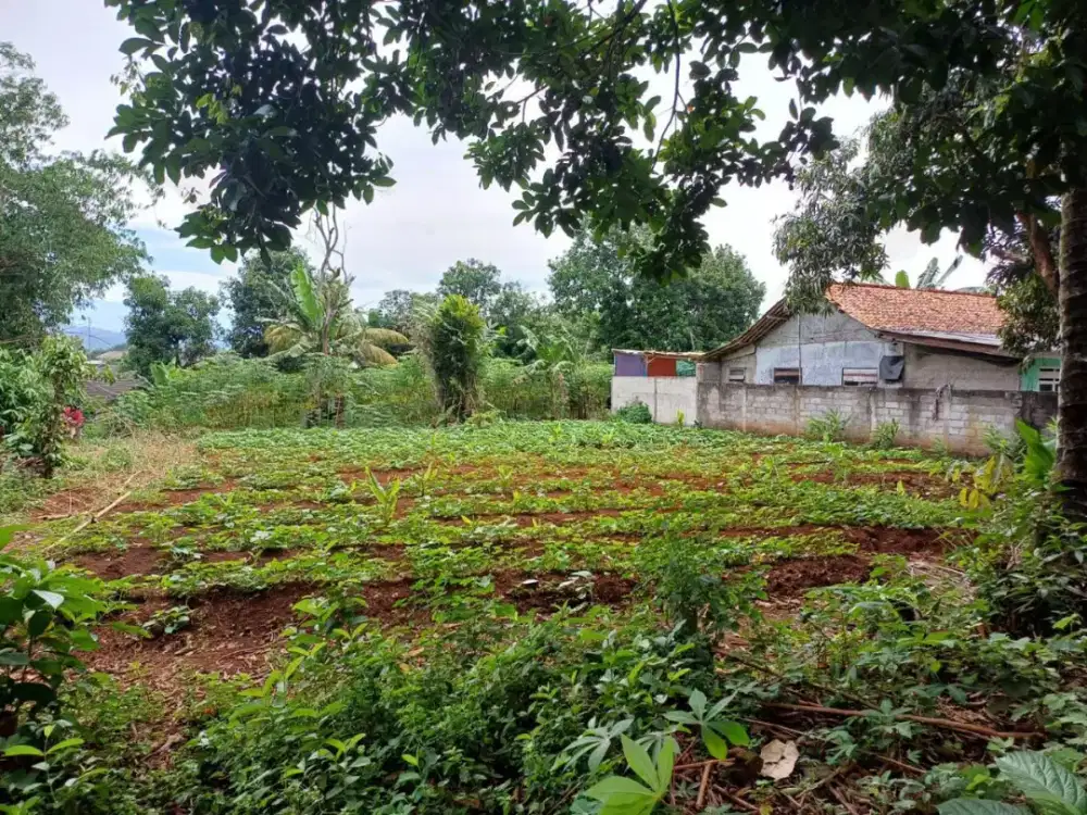 Dijual murah tanah darat 400m di cileungsi