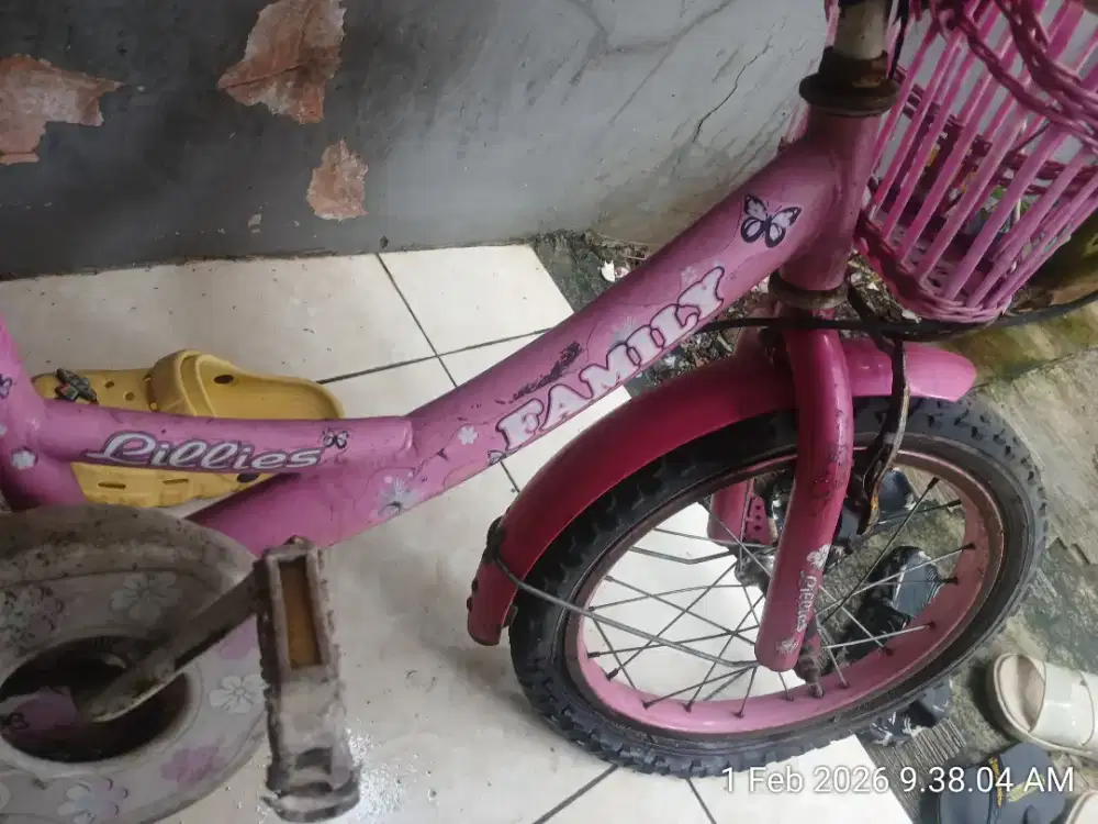 Sepeda family  anak cewek merek bisa gosend