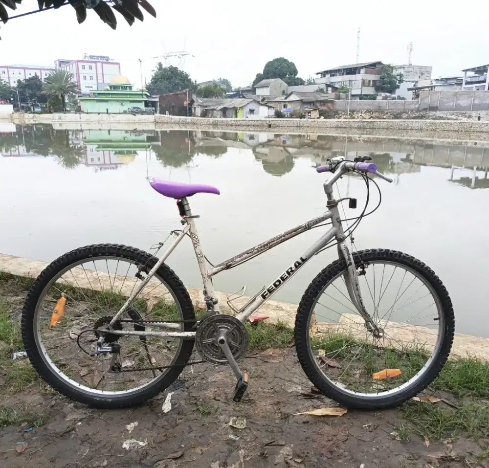 Sepeda Federal WildCat