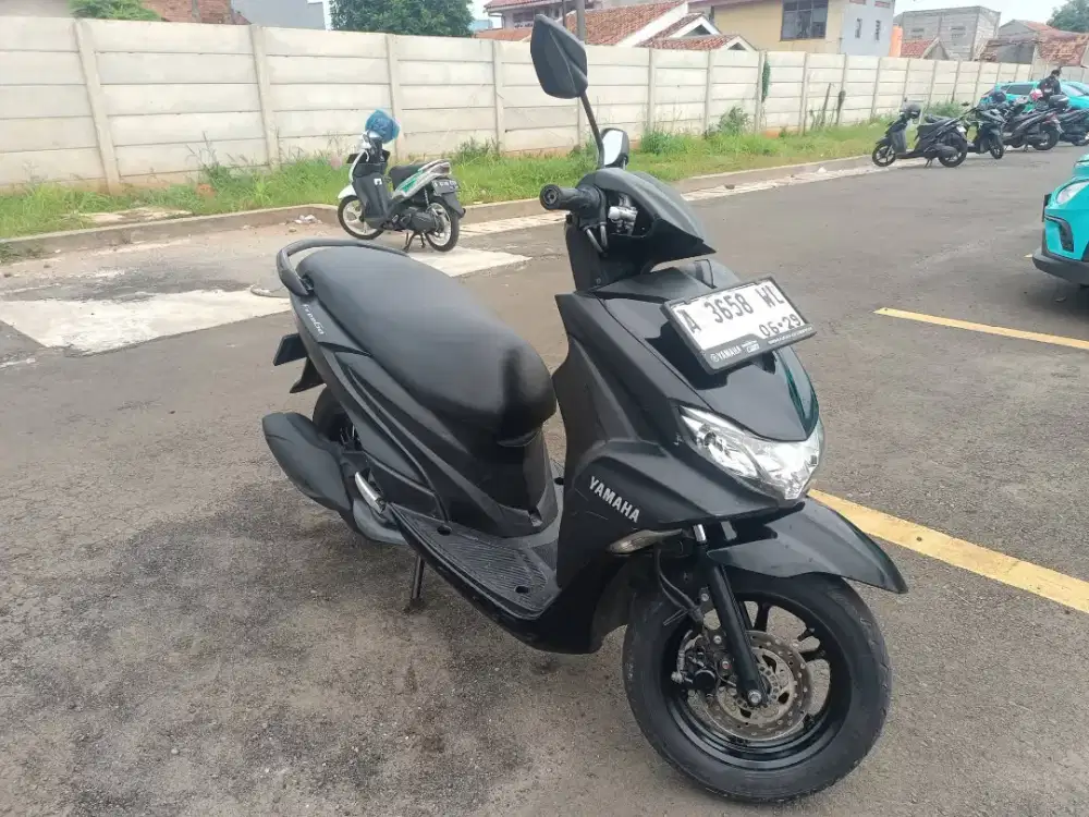 Freego 2019 pajak hidup