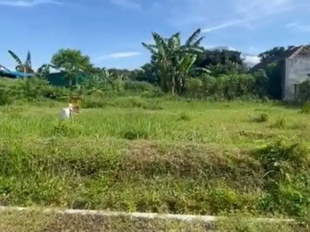 Tanah dijual di ngenep karangploso Lt273 SHM dekat exit tol 480jt