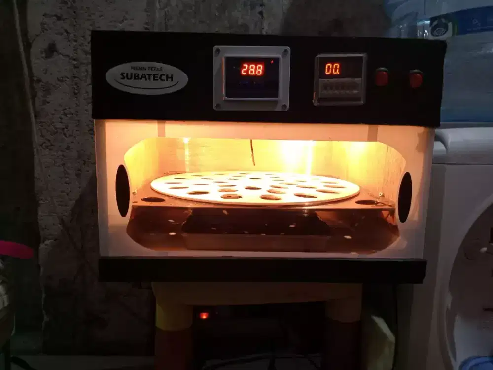 mesin penetas telur ayam