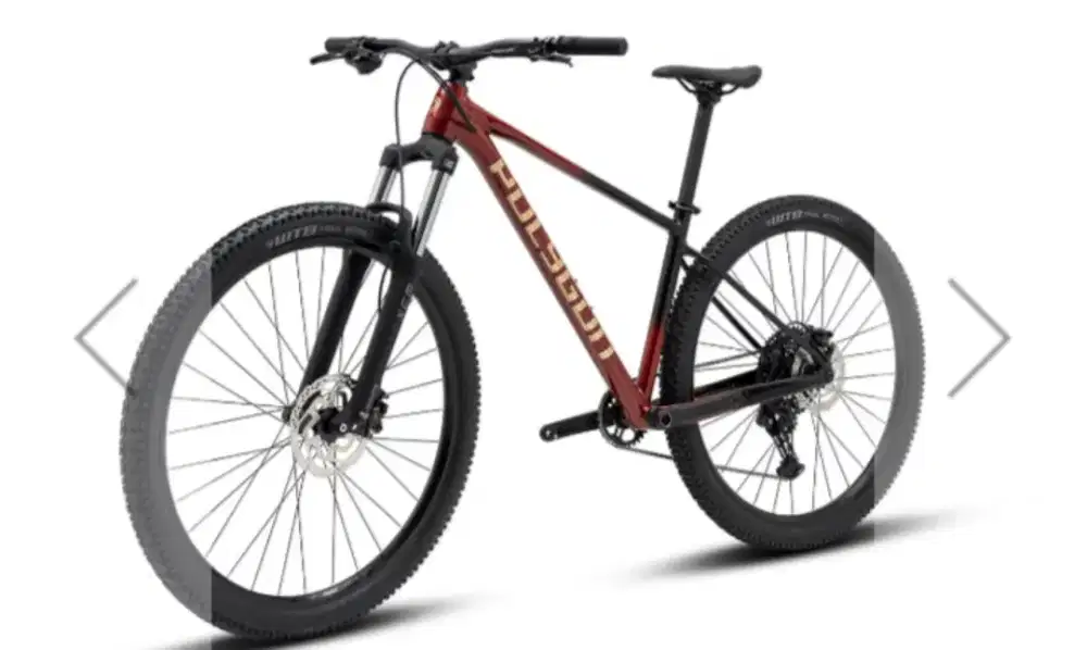 Polygon Sepeda Gunung XTRADA 5 BAN 29 TERBARU