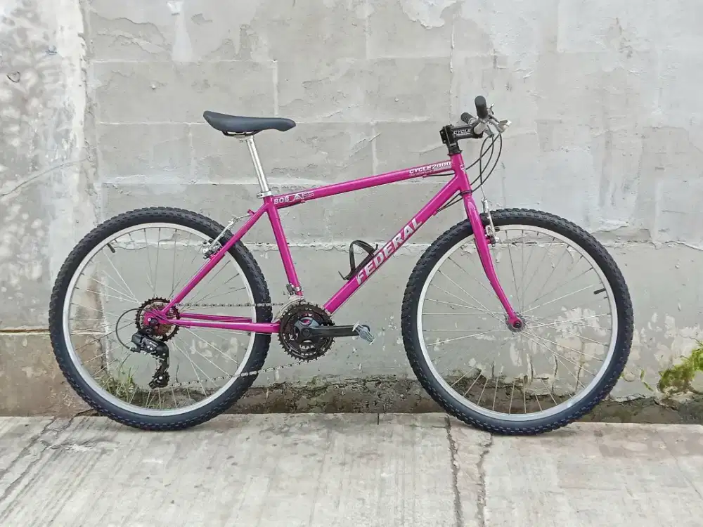 Commuter bike / lady bike / sepeda kalcer / federal / vintage