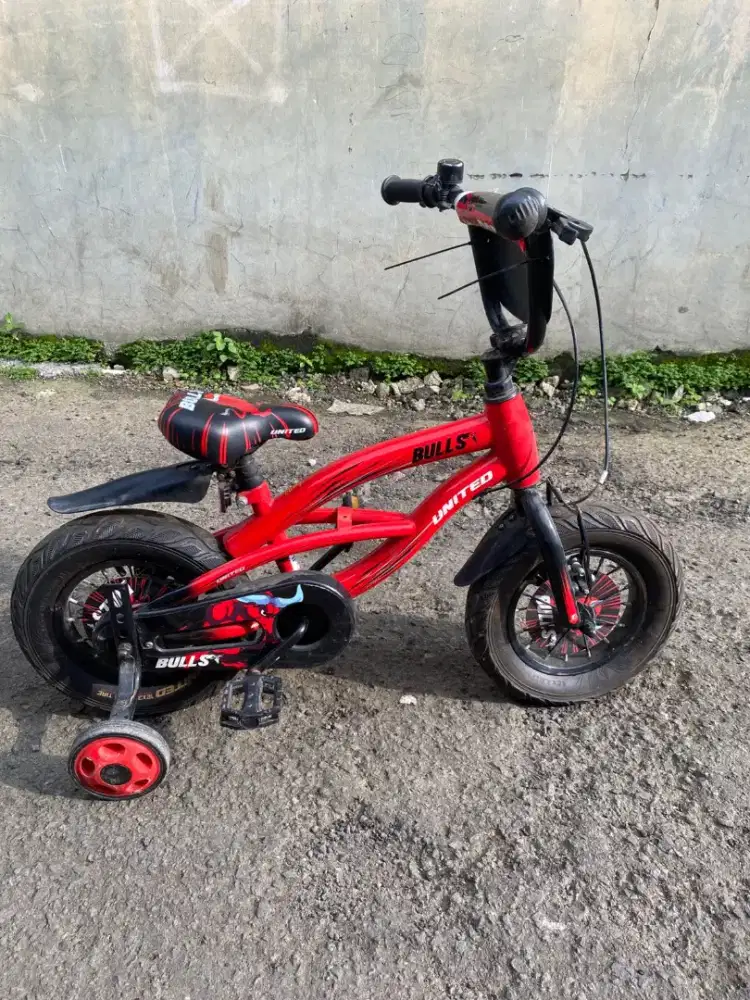 Sepeda united BULLS