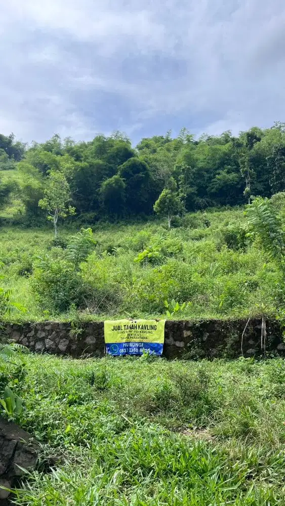 Dijual cepat tanah/kebun/kavling