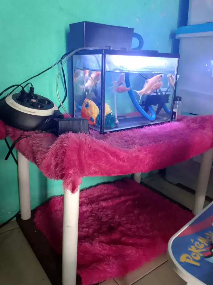 Aquarium set +meja