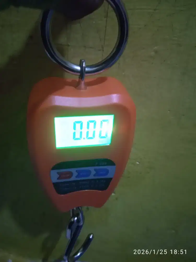 Timbangan digital kapasitas 200kg pas buat timbang daging dll