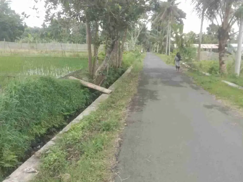 DIJUAL CEPAT SAWAH DI SEPUTARA WATERBOM JOGJA ECO PARK JLN BALONG - DEGOLAN JLN KALIURANG