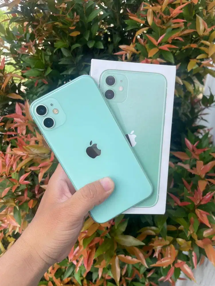 iPhone 11 128 gb inter